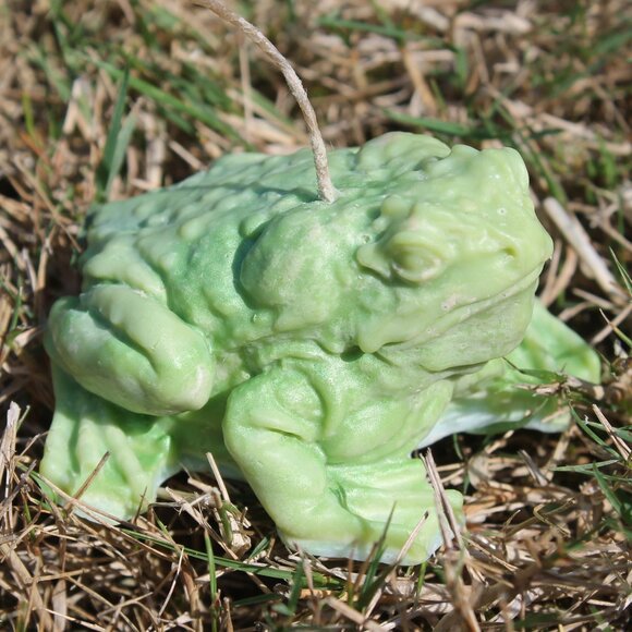 Green Frog Candle - Picture 2 of 14